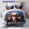 Magic School Story Pattern Bedding Quilt Set Quilt Cover Pillowcase Home Decoration Gift (1 * duvet cover + 2 * pillowcase, without core)