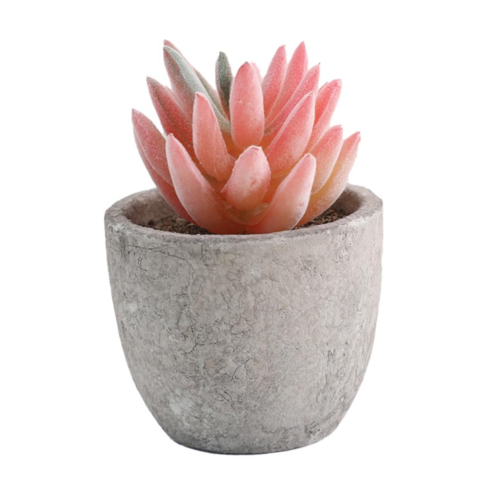 

Desktop Ornament Indoor Greenery Desktop Arrangement Stylish Home D cor Versatile Design High Quality Materials 5