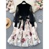 Accessible Luxury Socialite Style Mesh Cinched Fairy Dress Embroider