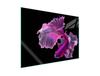 Glass Protective Plate for the Stove 70x52 Fish