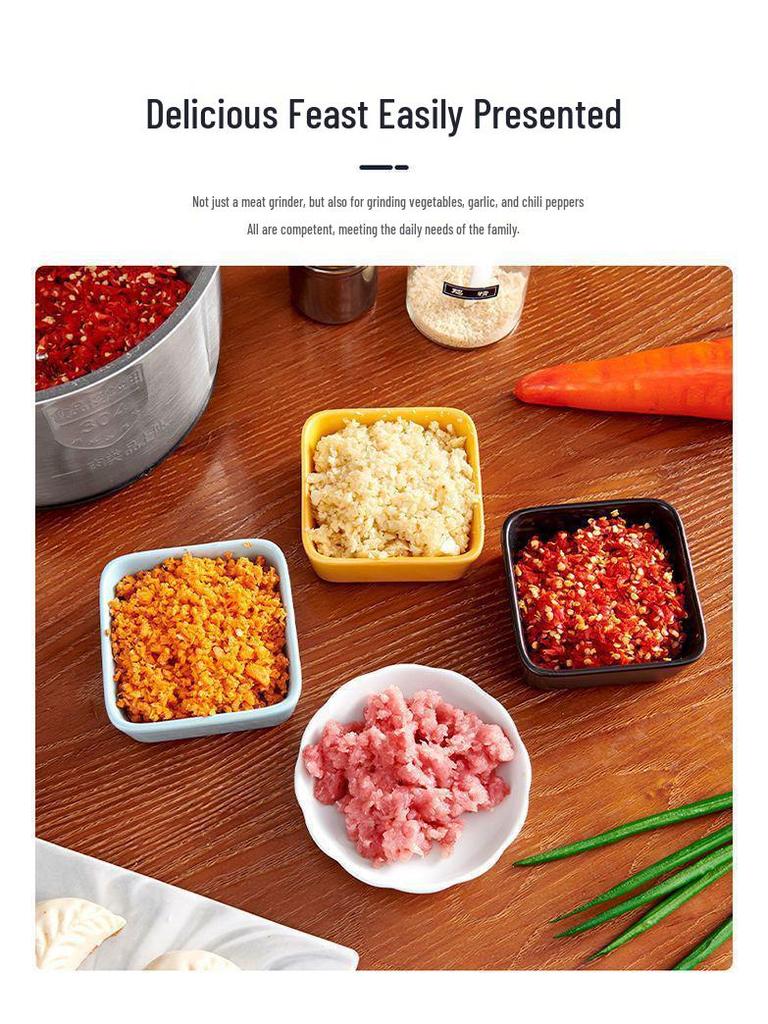 Stainless Steel Electric Meat Grinder & Multi-function Food Processor with Dough Kneading, Garlic Paste, and Vegetable Shredder