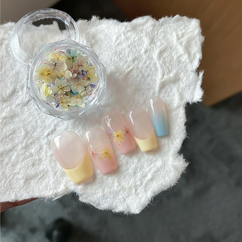 

1Box Mini Dried Real Flowers for Nail Art Decoration 3D Colored Pressed Dry Flower DIY Craft Supplies DIY Nail Accessories