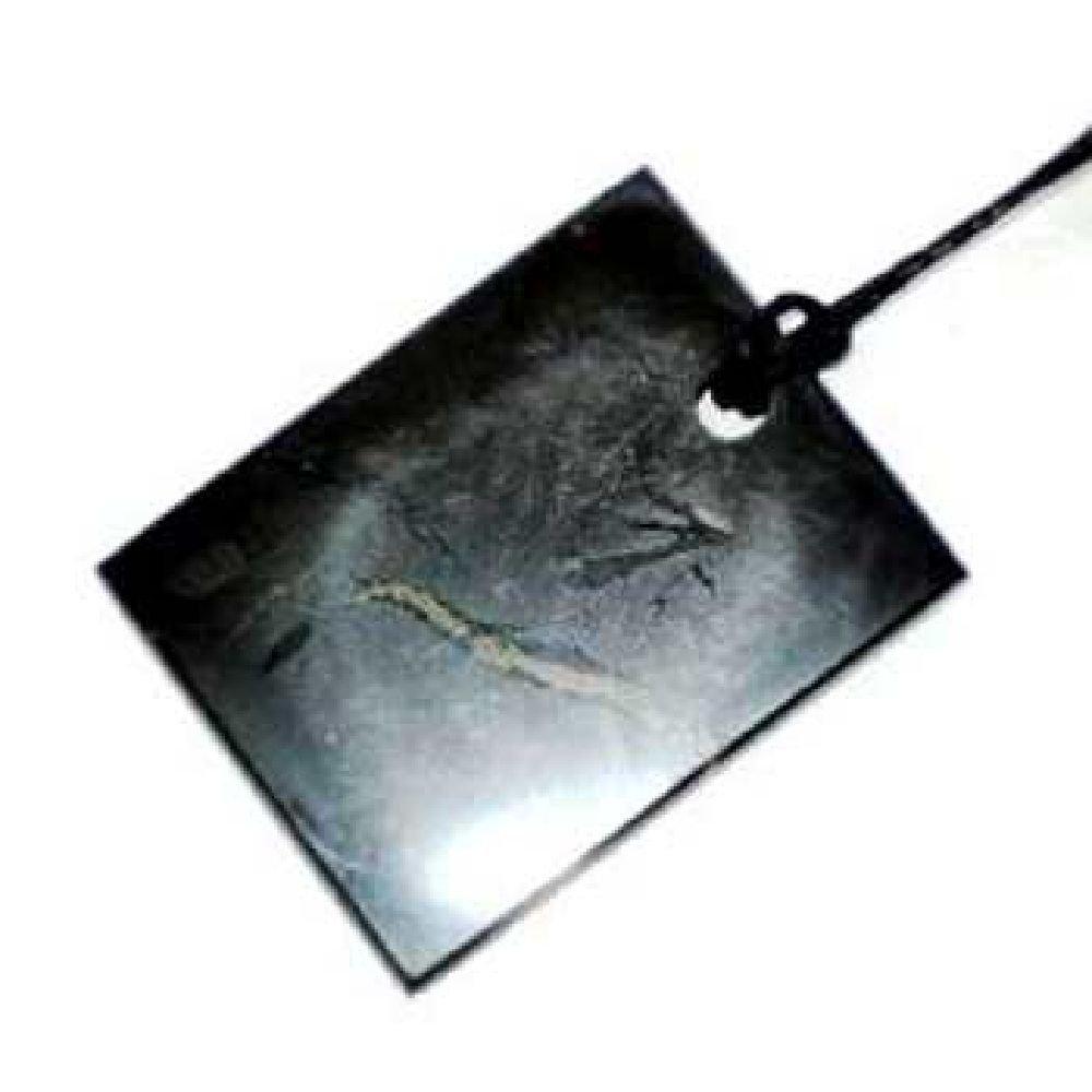 

Shungite Pendant Protective Shield
