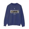 DC Comics Womens/Ladies Shazam Fury Of The Gods Vandalised Logo Sweatshirt