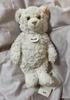 [USED] Steiff 1880 Paddy Teddy Bear, Cream