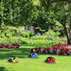 Metal Ladybug Flower Planter Insect Design Flower Pot for Indoor or Outdoor Decoration