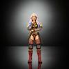 Mattel WWE Elite Action Figure Series 125 Julia 6-Inch Collectible Interchangeable Needles 25 Joints Accessories