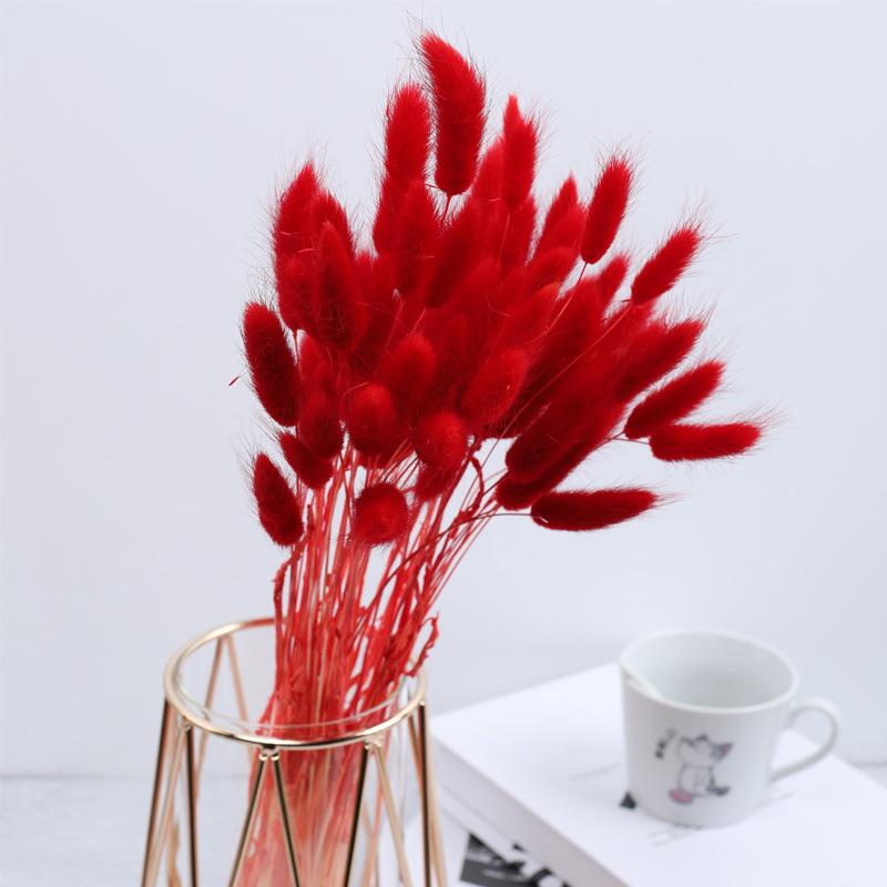 Rabbit Tail Grass Dried Flower Bouquet Home Decoration Flower Arrangement Dog Tail Grass Dried Flower Rabbit Tail Grass