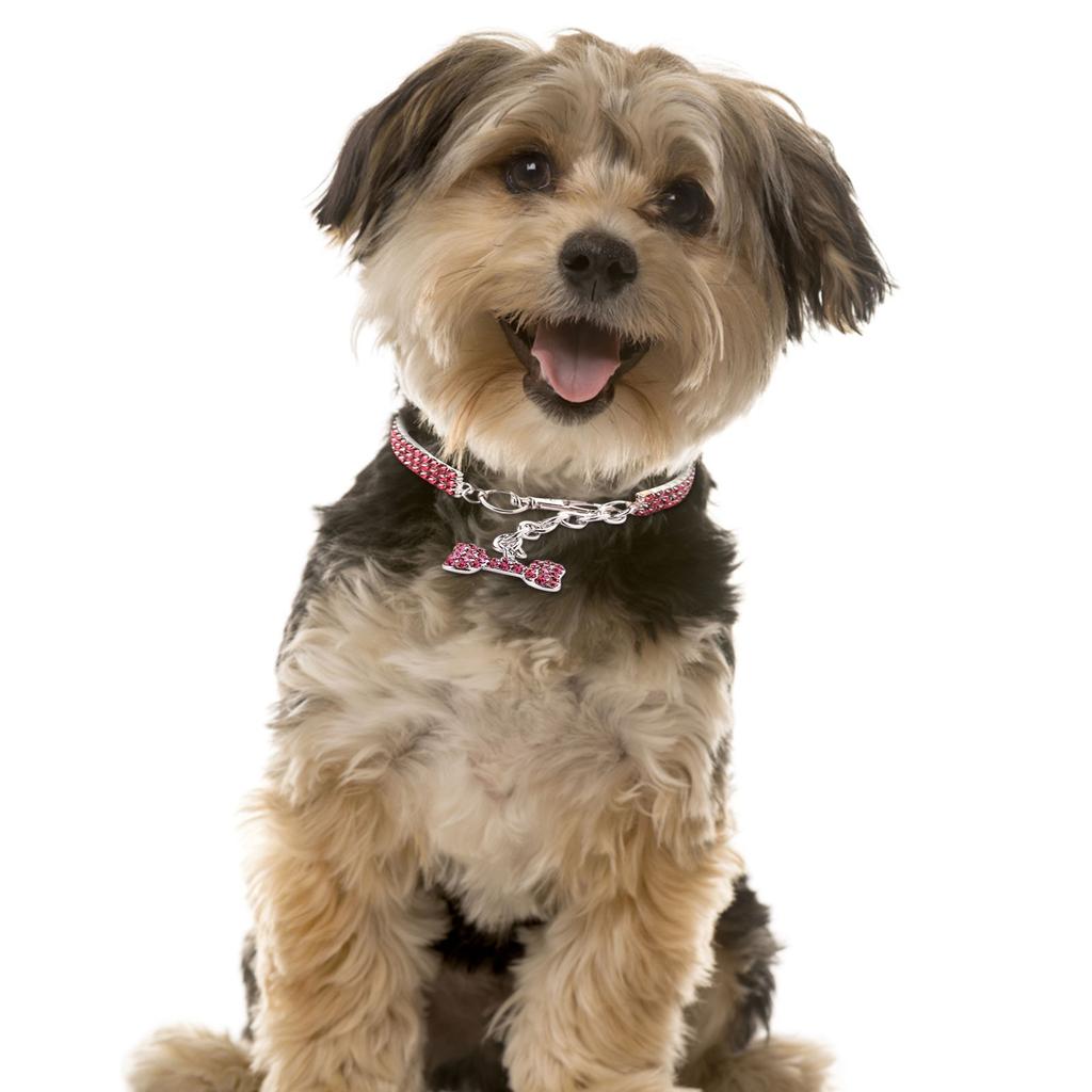  Pet Dog Bling Rhinestone Collars Fancy Necklace For Cats Small Dogs Female Puppy Collars