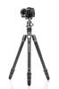 BENRO Rhino Carbon Fiber Travel Tripod with Pan Head, Lightweight and Foldable (FRHN24C + VX25 2-Type, 4-Section)