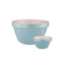 Avanti Mehrzweckschüssel (Enteneiblau)
