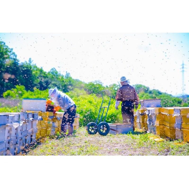 Hampyeong Clean Honey Domestic Pure Natural Nectar Honey 2.4kg Aged Honey Quality Assurance Health Gift
