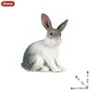 Oenux Lovely Farm Rabbit Bunny Model Action Figure Figurine Wild Desert Cottontail Hare Cute PVC Decoration Education Kid Toy