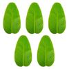 5 Pezzi Sottobicchieri Decorativi Foglie di Banana Artificiali Resistenti al Calore Tappetini da Tavola Impermeabili Antiscivolo Simulazione Foglie di Loto Finte