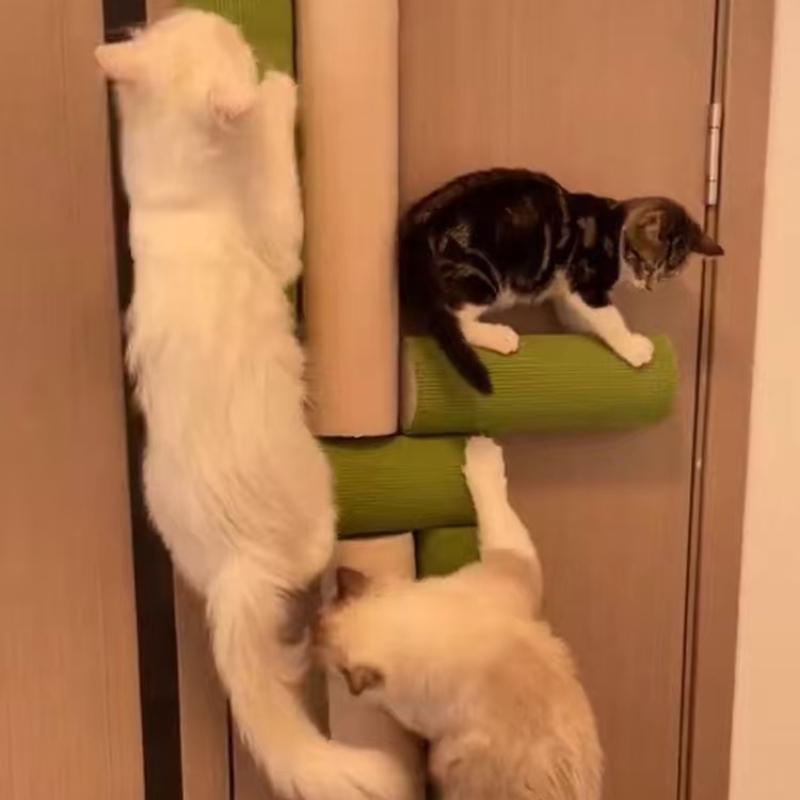 Ensemble 2 pièces Poteau à gratter auto-adhésif pour chat Résistant à l'usure Gain de place Planche à gratter Cylindre mural Protecteur de meubles pour animaux de compagnie Fournitures