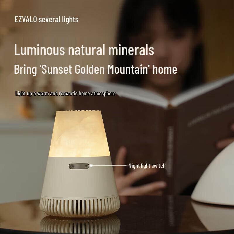 EZVALO Ore Aroma Diffuser Bluetooth Speaker with Essential Oil (CN Version)