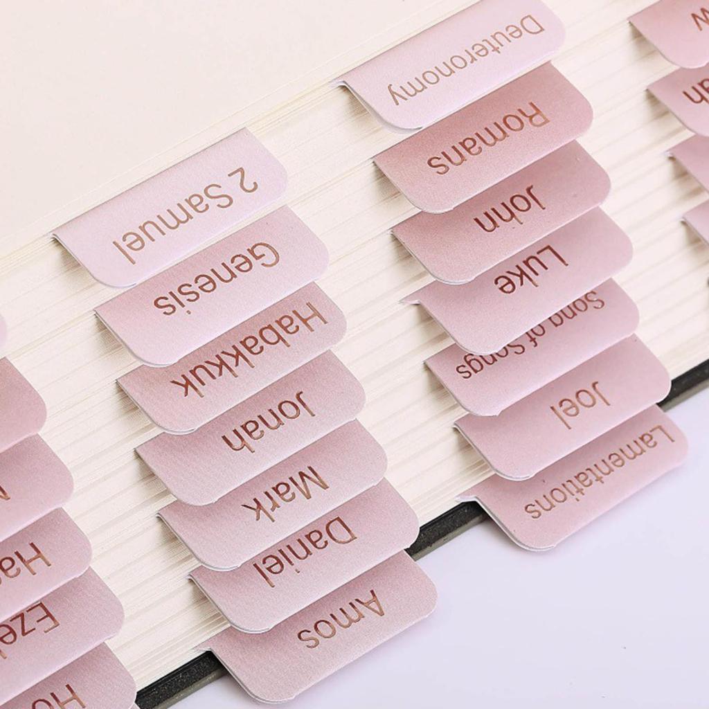 6 Blätter Bibelregisterlaschen Dekorative Bibelregisterlaschen Laminierte Bibellabel Leicht lesbare Bibel-Journaling-Zubehör für Mädchen