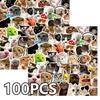 Cute Funny Cat Meme Cartoon Stickers Waterproof DIY Decoration Laptops Water Bottles Phones Cute Animal Decals Toys Gifts