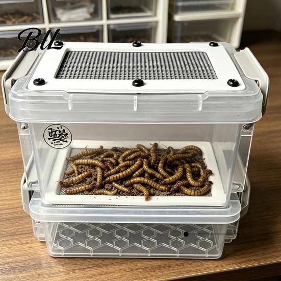 Sistema di Allevamento per Larve di Tenebrione con Vassoio Raccogli-Scarti Contenitore Traspirante per Allevamento di Insetti su Piccola Scala Alimentazione per Polli Rane Uccelli