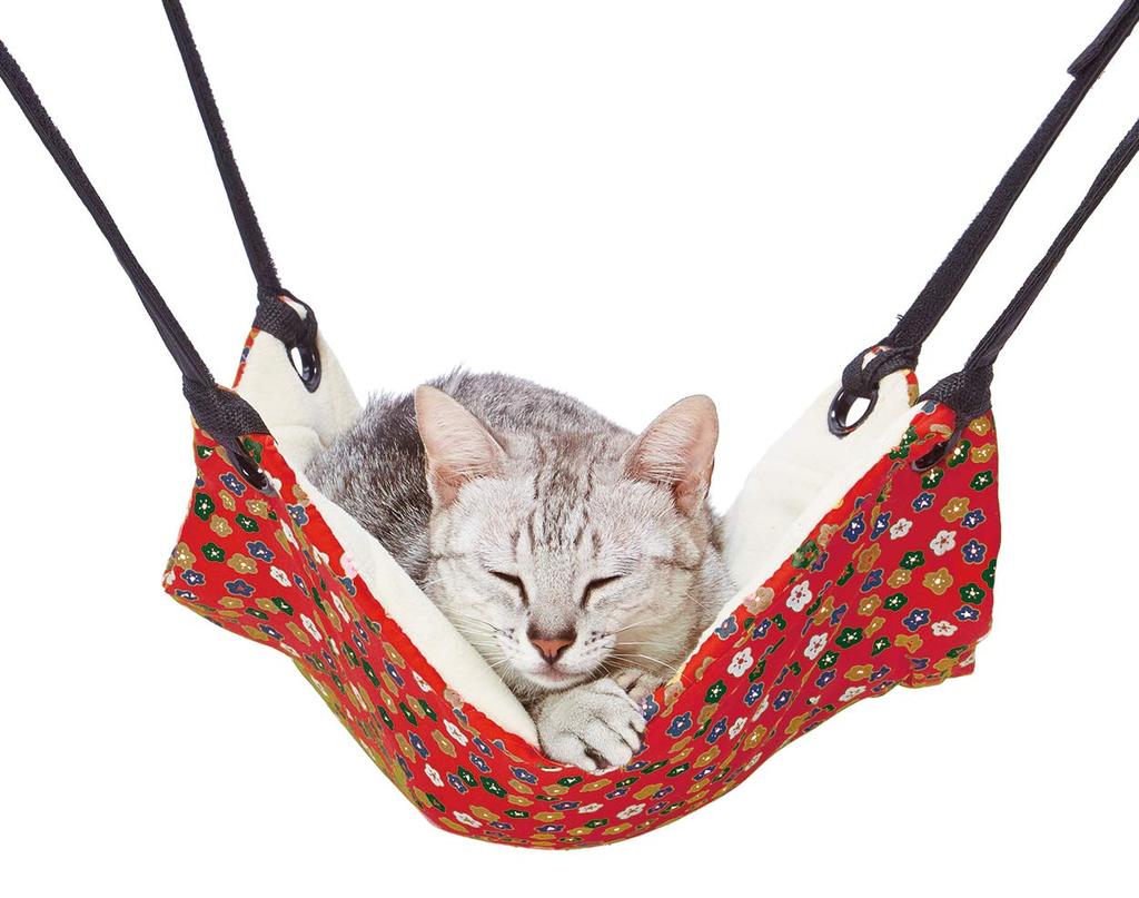 Petio Cat Toy Nekokomachi Nyan Mock Small Flower for Cats