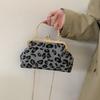 This year's popular shell bag winter new chain bag niche leopard print handbag women's shoulder messenger bag