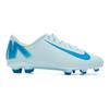 New Nike Anti Slip Wear Resistant Low Top Kids' Soccer Shoes Blue Teenagers FQ8286-400