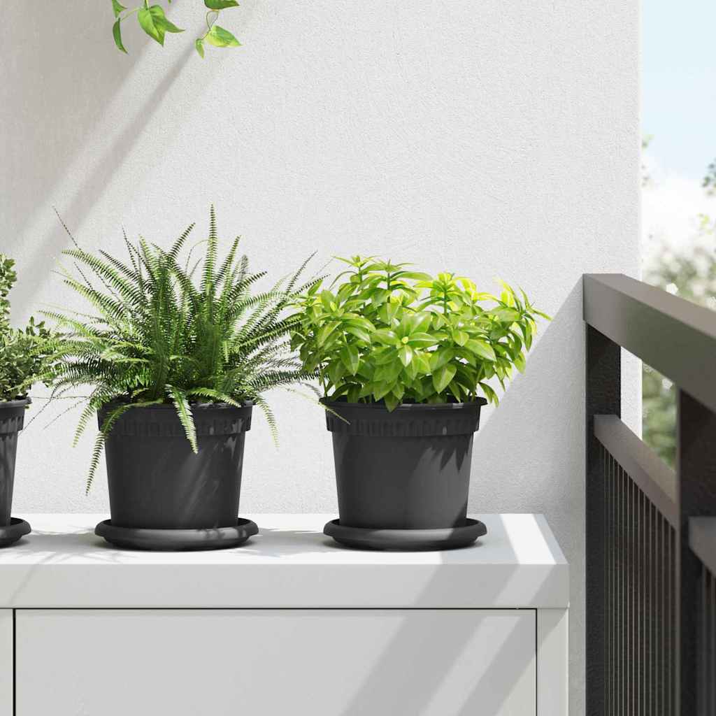 Plant Pots 6 Pcs Black Ø 15 X 12 Cm Plastic