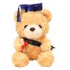 23/28cm Bachelor Bear Plush Toy Cute Bear Animal Doll Doctor Cap Graduation Bear Doll  Party Favors