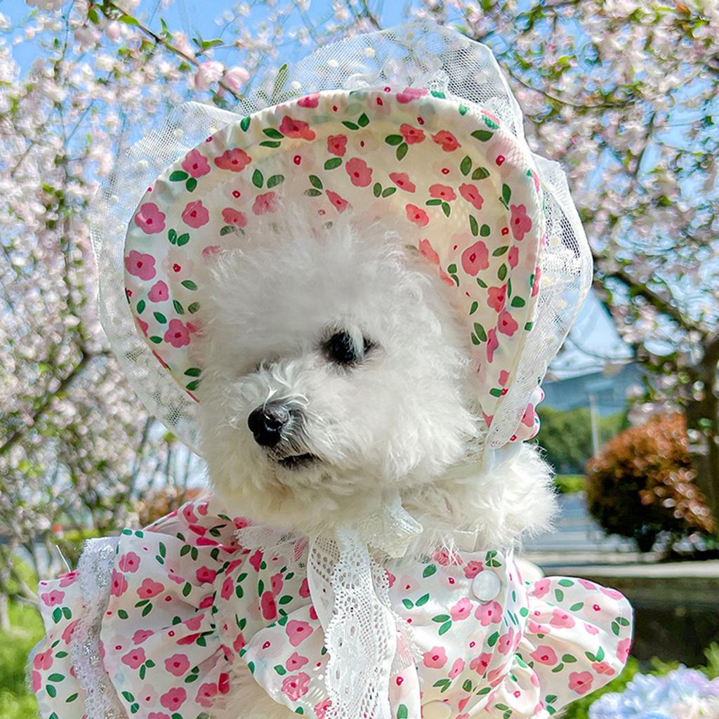 Dog Baseball Cap Dog Visor Hats Pet Sun Protection Hats Outdoor Sports Hats with Ear Holes Hats for Dog Sun Protection Visor Hat