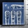 Flexible Silicone Crafting Mould With 3D Embossed Pattern For Nail Art Accessories And Resin Jewelry