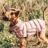 Cortavientos Ropa para Mascotas Invierno Cálido Acolchado Cachorro Perro Chaqueta de Plumón para Perros Pequeños Medianos Abrigos Whippet Galgo mascotas Ropa