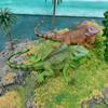 Amphibian Lizard And Reptile Model Pvc Static Figures For Kids Use Educational
