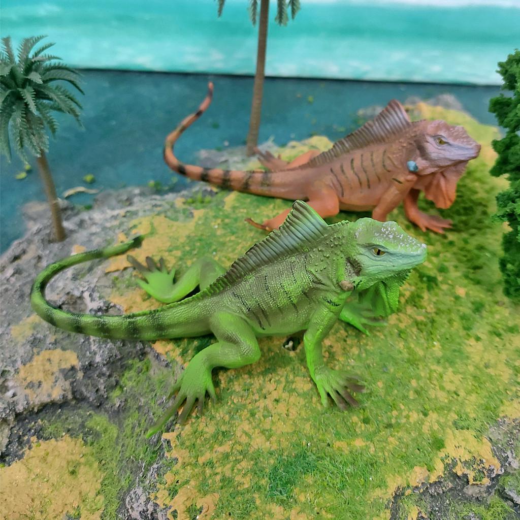Amphibian Lizard And Reptile Model Pvc Static Figures For Kids Use Educational
