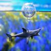 Zwemmende Haai Walvis Ornament Simulatie Zee Dieren Nieuwigheid Onderwater Wereld Ornament Aquascaping Decoraties