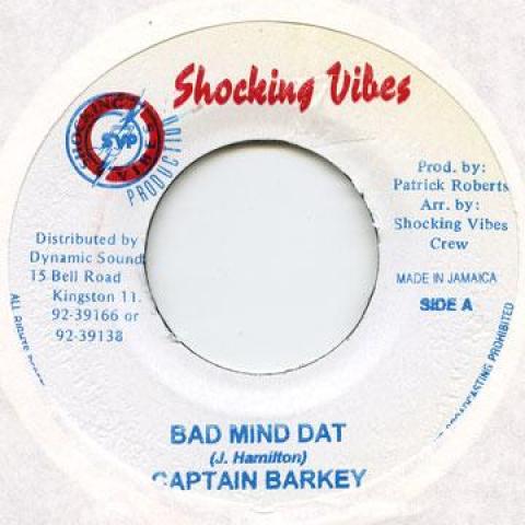 

7inch Record CAPTAIN BARKEY / REAL FLAVA - Bad Mind Dat / Pick Your Choice Shocking Vibes 2005 Jamaica Reggae, Ska & Dub