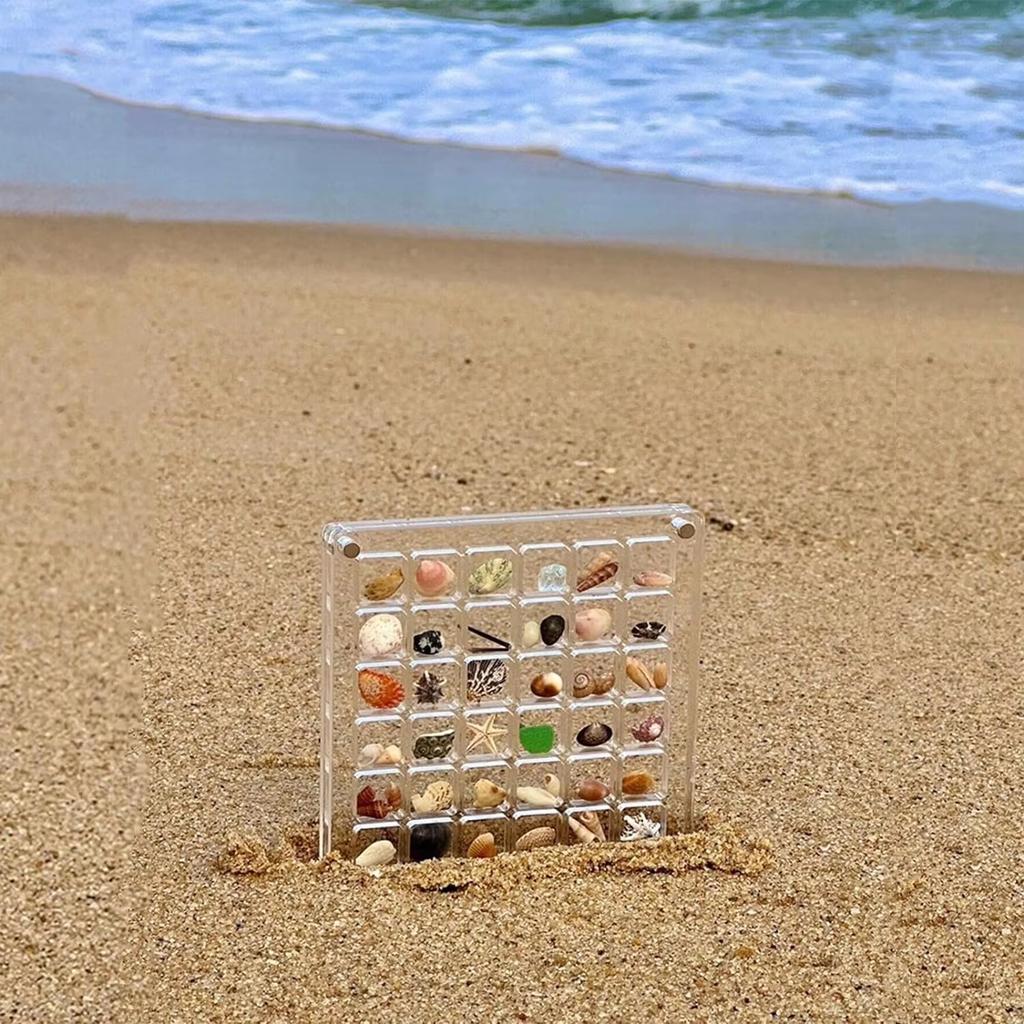 36/64/100 de grile cutie de afișare din acrilic scoici, cutie magnetică de scoici de mare clare, organizatoare pentru bibelouri, mini cutie de depozitare pentru scoici de mare