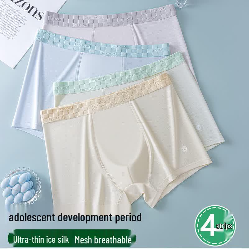 Nanjiren Boys' 4-Pack Ice Silk Mesh Underwear