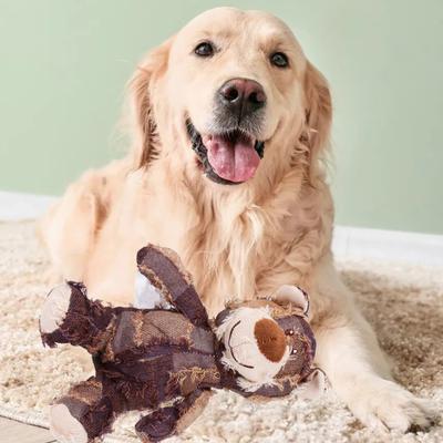Orsacchiotto Peluche Squeaky Giocattolo Orso Indistruttibile per Cani Masticatori Aggressivi Riempito Interattivo