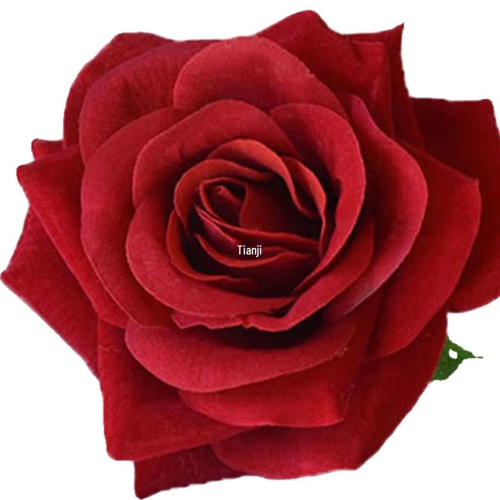 Barrette latérale rose rouge vintage pour spectacles de danse