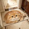 Absorbent Entryway Rug Diatomite Pet Floor Mat Practical Cat Print Doormat  Hallway