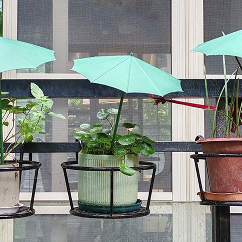 Protectori colorați pentru plante Huse decorative pentru plante Umbrelă creativă pentru plante suculente Umbrelă pentru suculente și flori mici