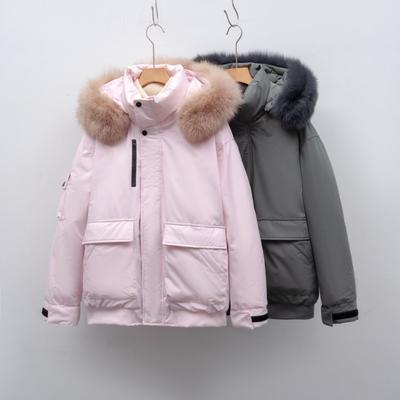 Chaquetas y abrigos – Chaquetas