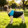 Winter Waterproof Dog Jacket Windproof Padded Pet Coat Warm Vest with Back Zipper D-rings for Small Medium Dogs Outdoor Strolls