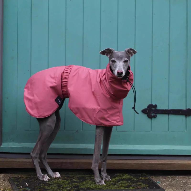 

Waterproof Dog Raincoat Large Size Luxury Whippet Greyhound Dog Raincoats Jacket Doberman Pinscher Raincoat Outdoor Walking XS（old） червоний