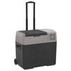 Vidaxl Lodówka Na Kółkach, Z Zasilaczem, Czarno-Szara, 30 L, Pp