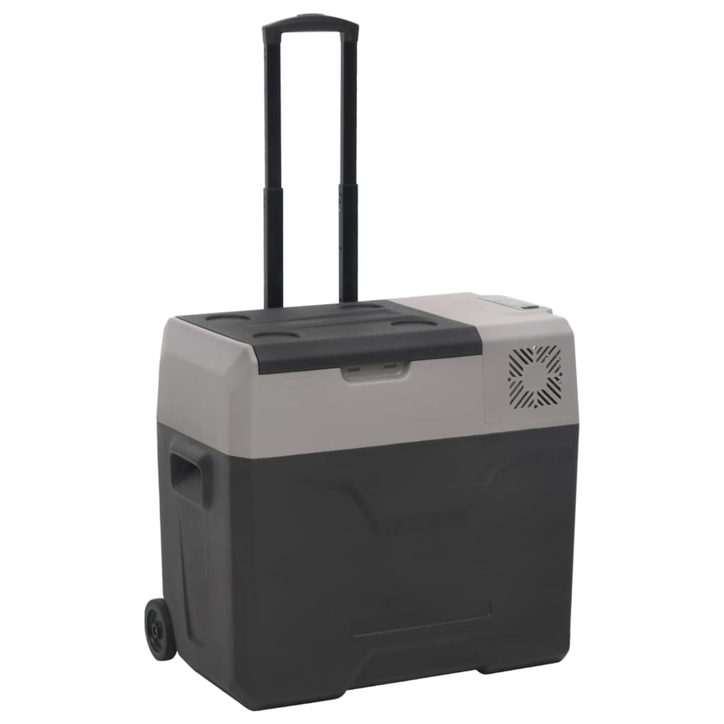 Vidaxl Lodówka Na Kółkach, Z Zasilaczem, Czarno-Szara, 30 L, Pp