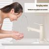 Pull-Out Basin Faucet