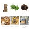 Otter Piggy Bank Realistic Object Figurine PET BANK OTTER #2911