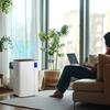 12L/Day Dehumidifier, with Filter - White