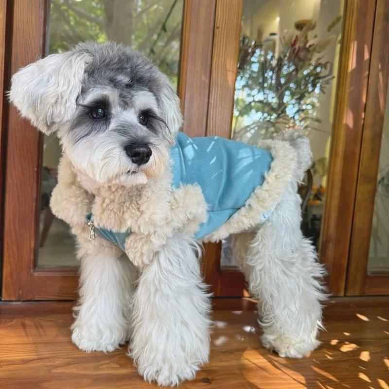 Pet Collar Coat Autumn Winter Lamb Fleece Coat with Thickened Fleece Small Dog Teddy Bear Pet Warmth Puppy Warm Cotton Clothes